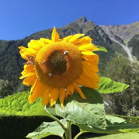 Haus Sonnwend * Sölden